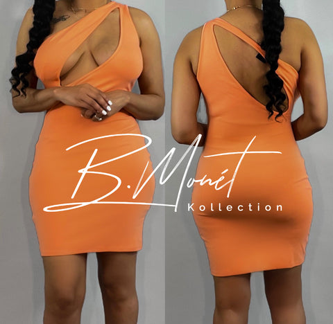 Own it Dress